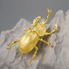 Japanese Trypoxylus Dichotomus Brooch