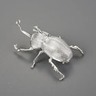 Japanese Trypoxylus Dichotomus Brooch
