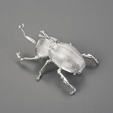 Japanese Trypoxylus Dichotomus Brooch