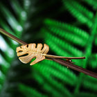 Monstera Leaf Brooch