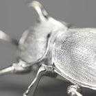 Japanese Trypoxylus Dichotomus Brooch