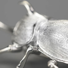 Japanese Trypoxylus Dichotomus Brooch