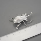 Japanese Trypoxylus Dichotomus Brooch