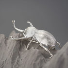 Japanese Trypoxylus Dichotomus Brooch